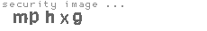 security image