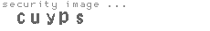 security image