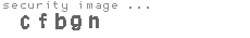 security image