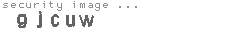 security image