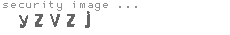 security image