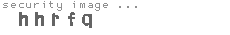 security image
